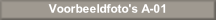 wpdd838992.png